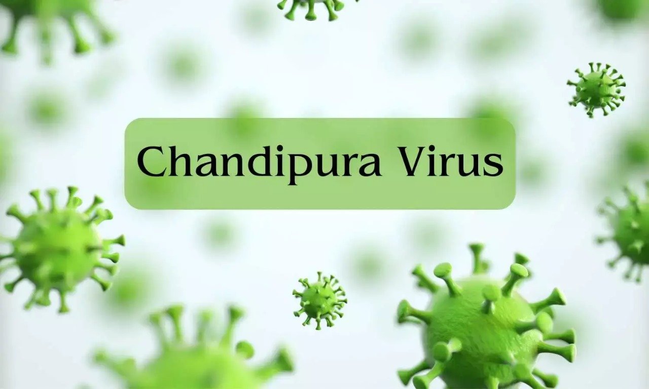 Two more children died of suspected Chandipura virus in Vadodara, 9 more children under treatment at Sayaji Hospital